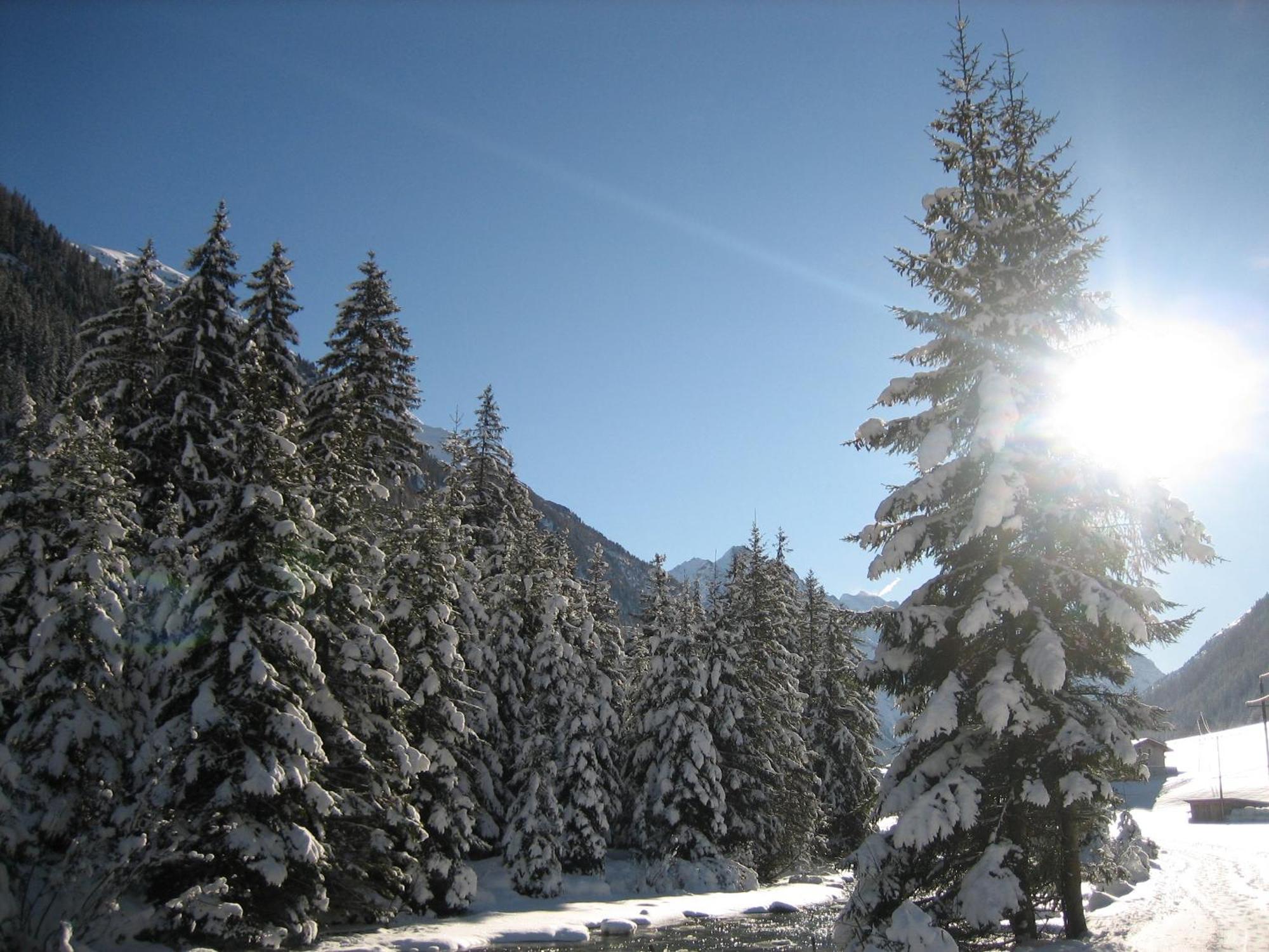 Apart Arve Sankt Leonhard im Pitztal Luaran gambar