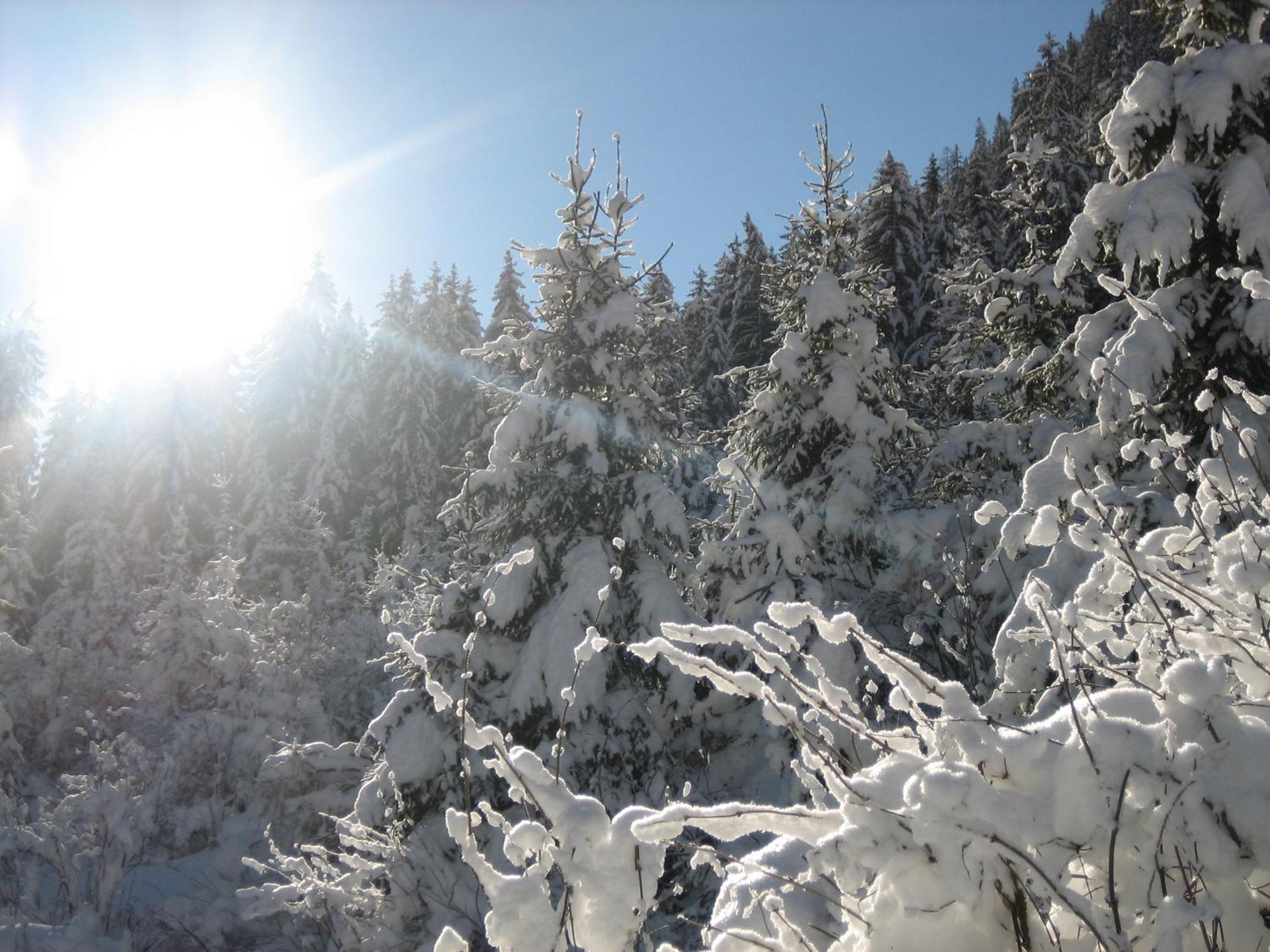 Apart Arve Sankt Leonhard im Pitztal Luaran gambar