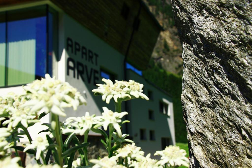 Apart Arve Sankt Leonhard im Pitztal Luaran gambar